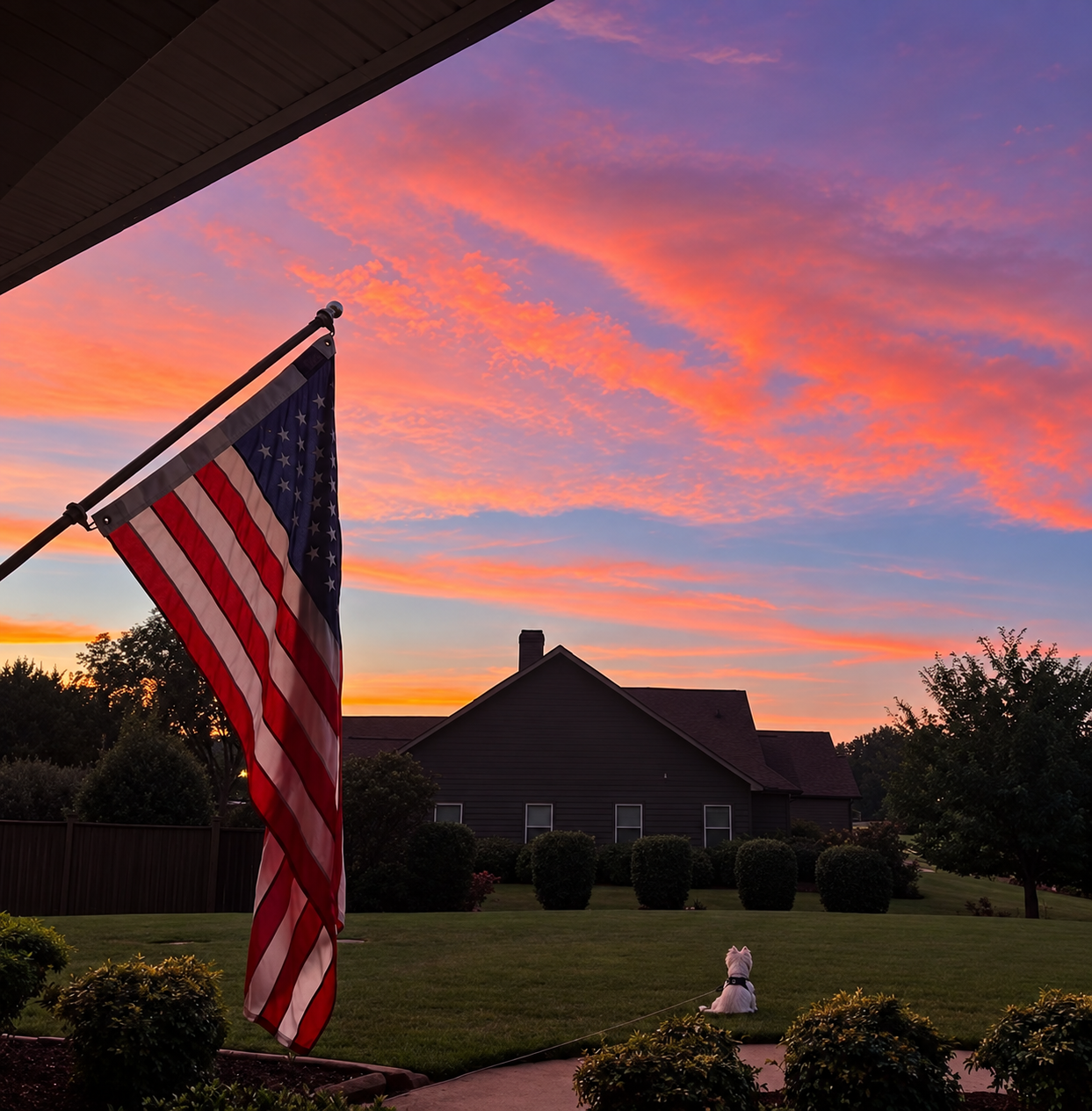 An American flag beside a yard at sunset, with Fergus sitting on the lawn.